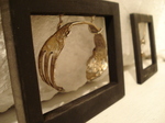 DSC05835.JPG